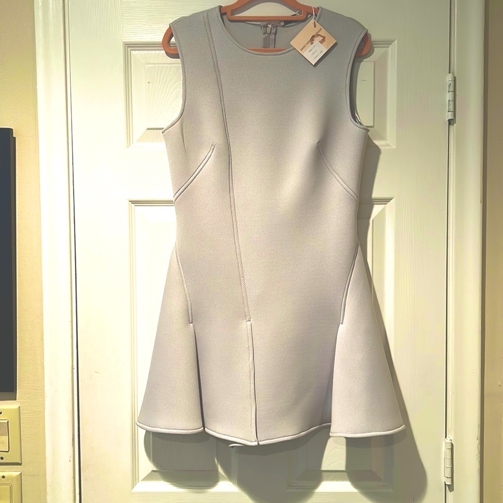 NWT Scuba Mini Dress